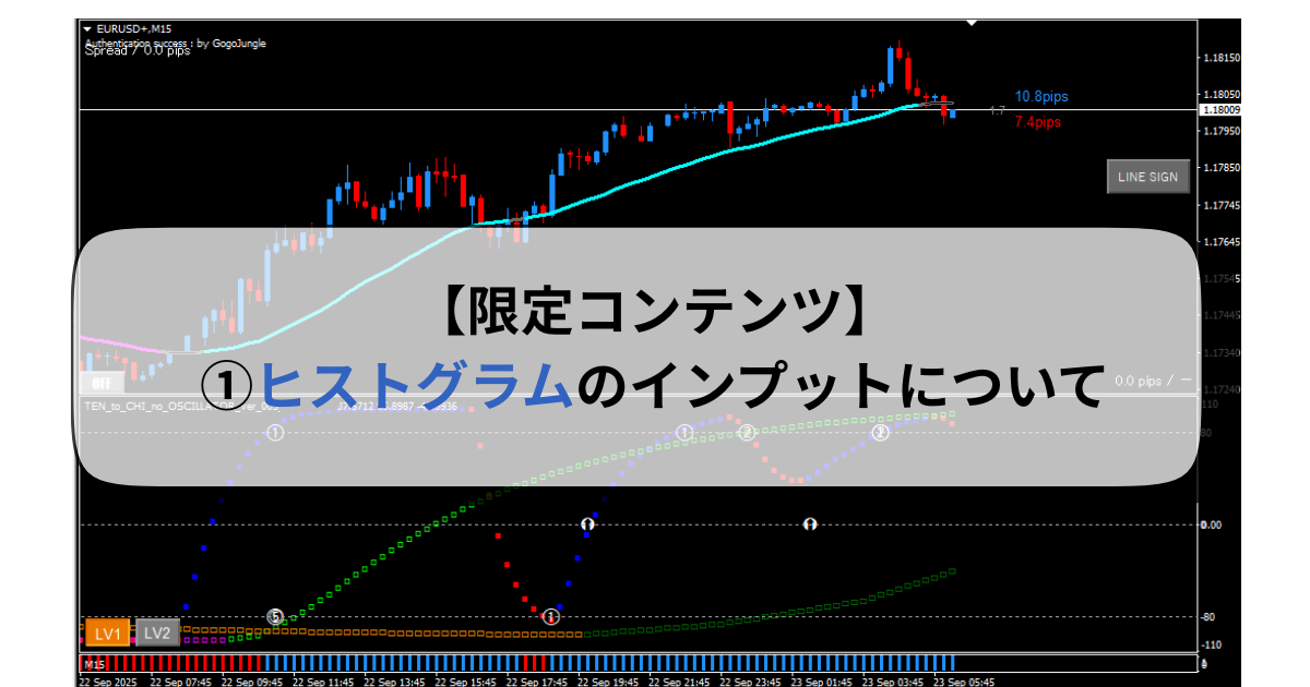 【限定コンテンツ】①ヒストグラムのインプットについて
